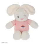 عروسک طرح خرگوش مدل رنگین کمان و ابر ارتفاع 40 سانتی متز - Image 3