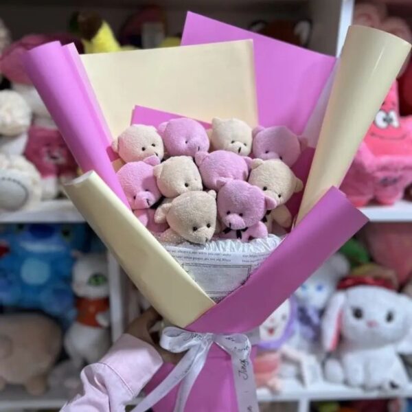 بوکت خرسی صورتی