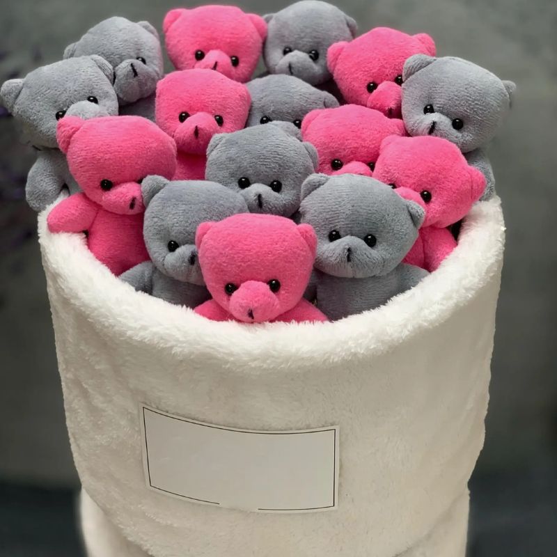 بوکت عروسکی خرسی پولیشی صورتی و طوسی