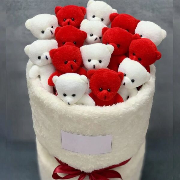 بوکت عروسکی خرسی پولیشی قرمز و سفید