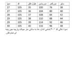 شلوار جین دم پا گشاد زنانه کد 401 - Image 3