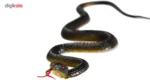 بسته 2 عددی مار اسباب بازی مدل SMALL SNAKE - Image 4