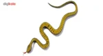 بسته 2 عددی مار اسباب بازی مدل SMALL SNAKE - Image 5