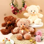عروسک مدل خرس راس کد DB20 ارتفاع 20 سانتی‌متر - Image 4