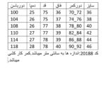 شلوار جین بگ زنانه مدل واید کد 20188 - Image 5