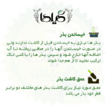 بذر ریحان میکس گیلدا کد 109