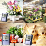 دماسنج و رطوبت سنج دیجیتالی مدل HC520