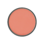 کیک میکاپ کریولان 35 گرم (Kryolan Cake Make-Up) - Image 17