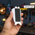 نگهدارنده در مدل گربه بسته دو عددی