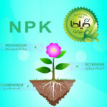 کود NPK گلدهی+ گیلدا کد 36-12-12 وزن 25 گرم