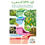 کود NPK گلدهی+ گیلدا کد 36-12-12 وزن 25 گرم