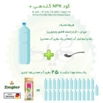 کود NPK گلدهی+ گیلدا کد 36-12-12 وزن 25 گرم